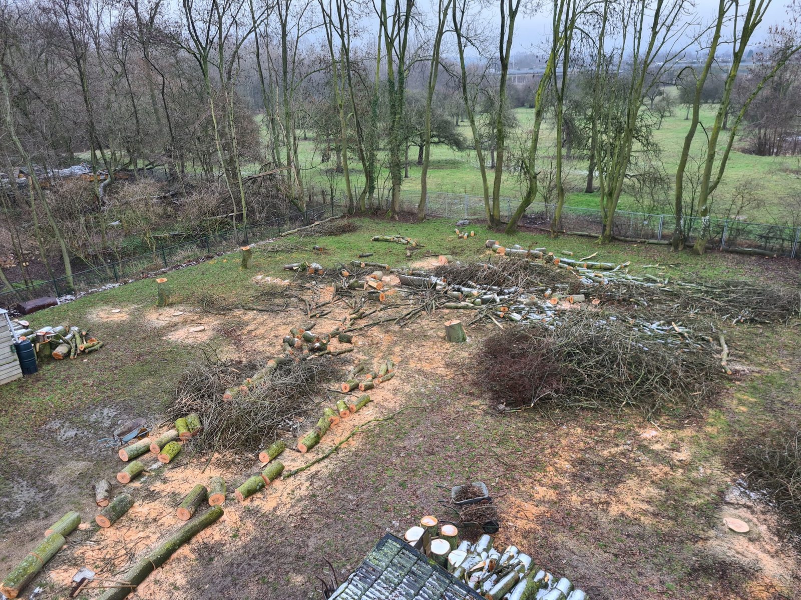 Gekapte bomen en opgeruimd terrein naast een weiland