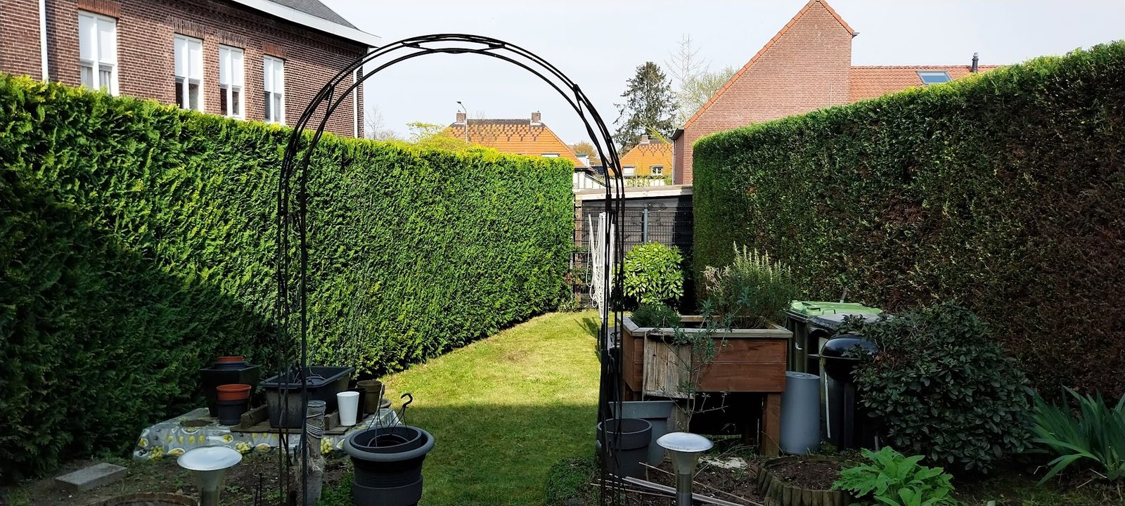Strak geknipte haag met een tuinboog